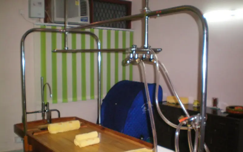 Bliss Ayurveda Panchkarma