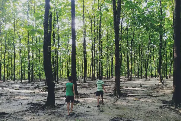 Methun Sapori, A Tourist Places in Lakhimpur, Assam