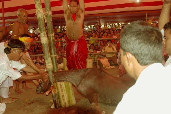 Immolation Sacrifice, Mouh Boli, Durga Puja