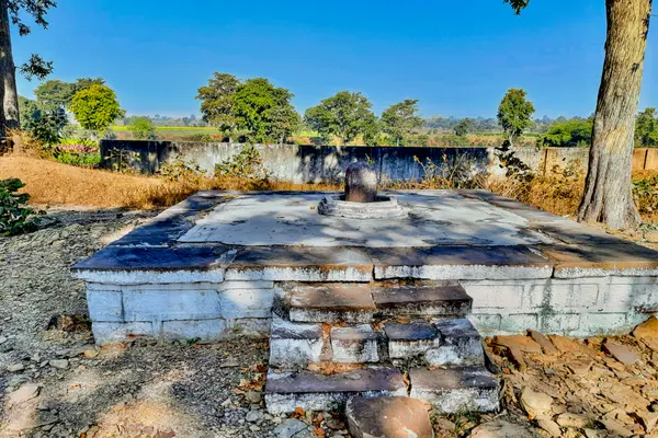 0122321 Mritangeshvara Shiva temple, Nandchand Madhya Pradesh 452