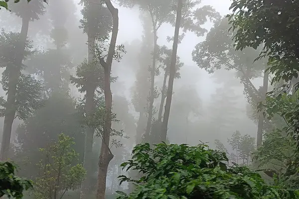 Yercaud place