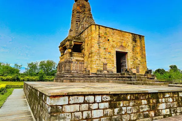0101022 Virateshwar temple, Sohagpur, Madhya Pradesh 008